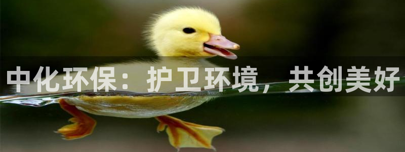彩名堂是不是坑人的东西：中化环保：护
