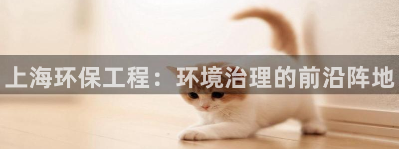 彩名堂预测计划软件：上海环保工程：环