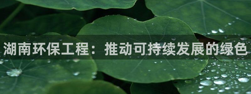彩名堂免费计划官网5 0：湖南环保工