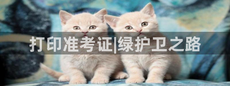 彩名堂预测网站：打印准考证|绿护卫之