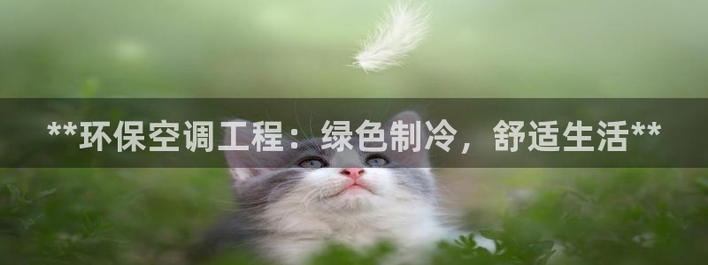 彩名堂计划app安卓免费下载：**环保空调工程：绿色制冷，舒适生活**