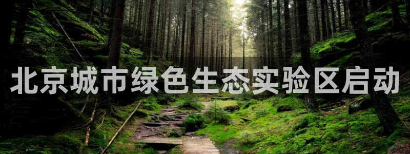 彩名堂计划和01计划怎么很稳：北京城
