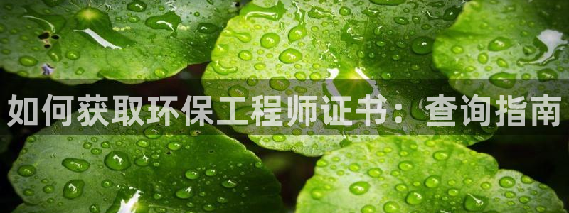 彩名堂预测软件与分析：如何获取环保工