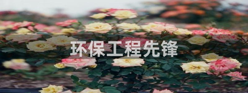 彩名堂计划怎么买胜率高：环保工程先锋