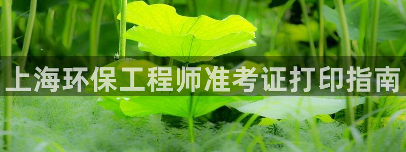 彩名堂还可以用吗：上海环保工程师准考