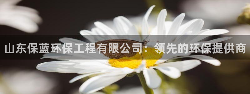 彩名堂预测软件：山东保蓝环保工程有限公司：领先的环保提供商