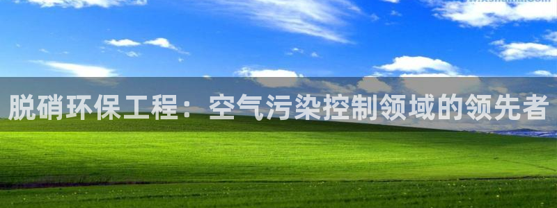 彩名堂手机客户端怎么进不去了：脱硝环