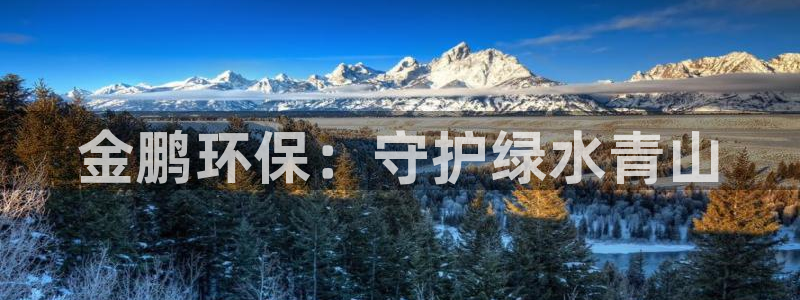彩名堂为什么打不开：金鹏环保：守护绿
