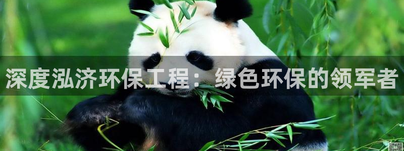 彩名堂是什么：深度泓济环保工程：绿色