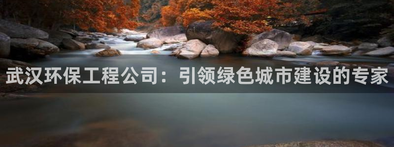 彩名堂苹果客户端：武汉环保工程公司：