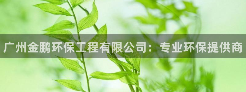谁知道彩名堂网站是多少：广州金鹏环保