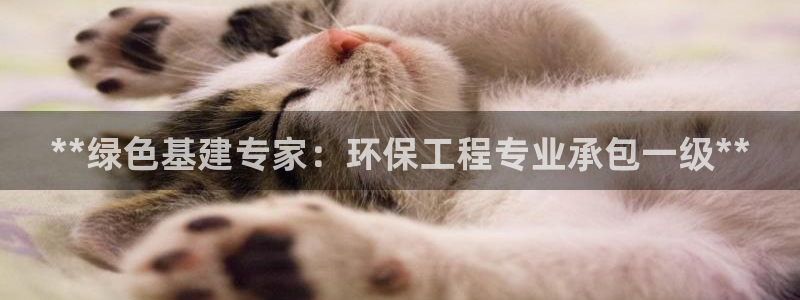 彩名堂怎么用不输：**绿色基建专家：