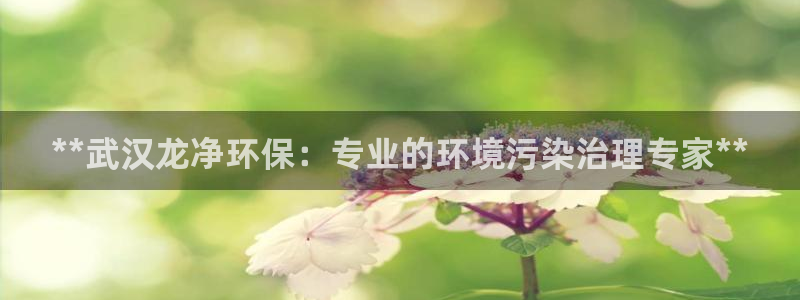 彩名堂app彩名堂客户端：**武汉龙