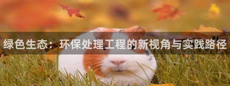 彩名堂预测网站：绿色生态：环保处理工