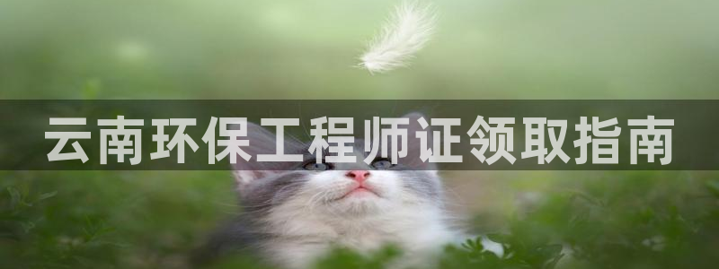 老版本彩名堂计划软件：云南环保工程师