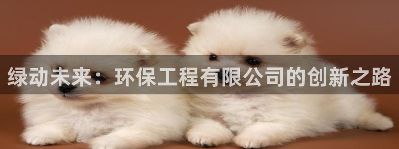 彩名堂平台：绿动未来：环保工程有限公