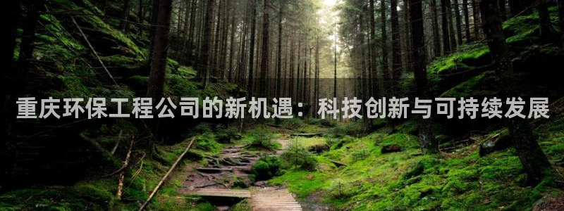 彩名堂网页：重庆环保工程公司的新机遇