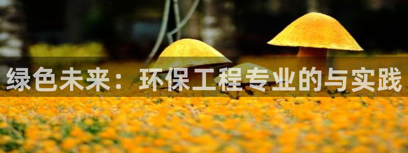 彩名堂免费计划软件下载：绿色未来：环