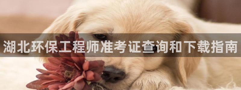 彩名堂移动客户端是什么：湖北环保工程