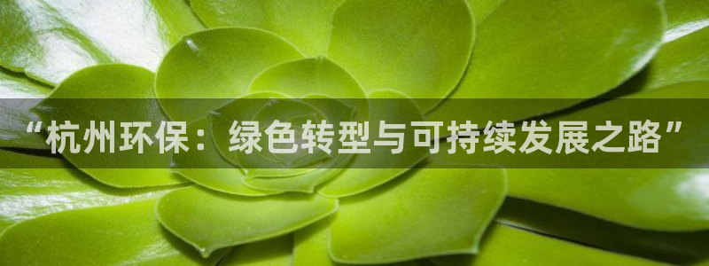 彩名堂免费计划官网怎么进不去了：“杭