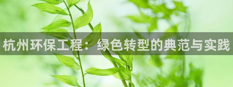 彩名堂怎么打最稳：杭州环保工程：绿色
