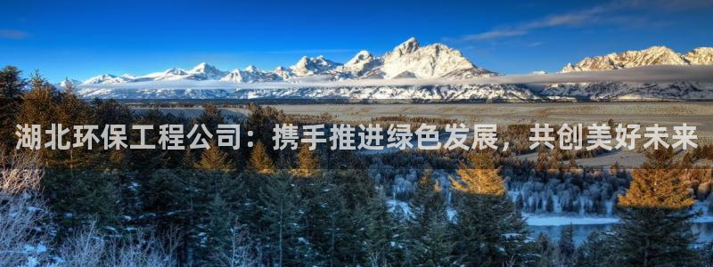 如何进入彩名堂官网更新：湖北环保工程