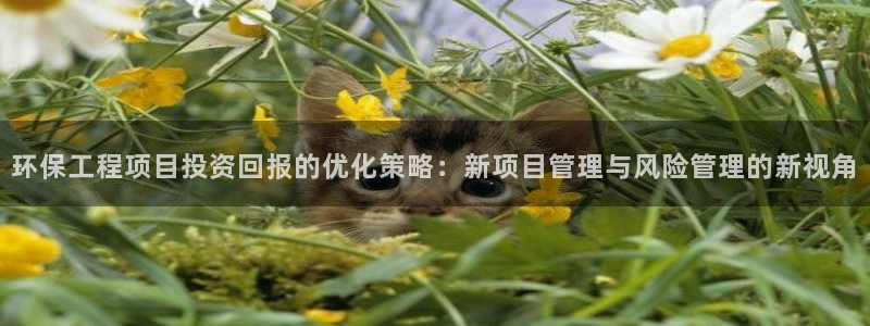 彩名堂客户端加拿大：环保工程项目投资