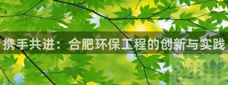 彩名堂官网：携手共进：合肥环保工程的