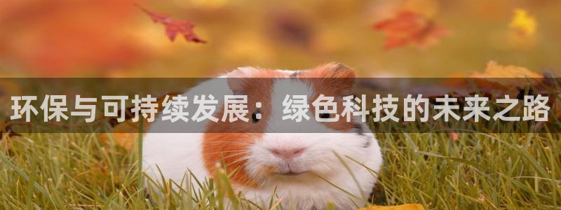 彩名堂预测软件与分析：环保与可持续发