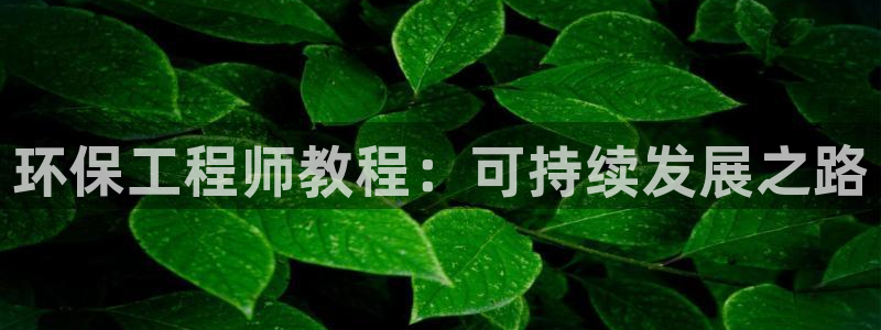 彩名堂人工计划客户端：环保工程师教程