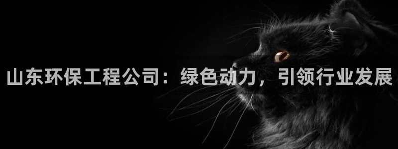 彩名堂v1.0.6：山东环保工程公司：绿色动力，引领行业发展