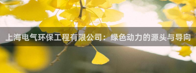 彩名堂预测计划软件：上海电气环保工程