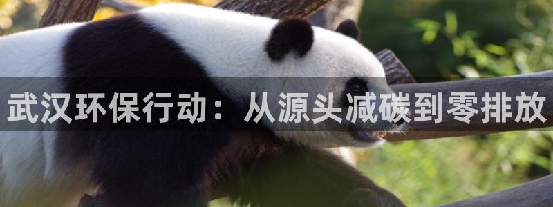 彩名堂预测计划软件：武汉环保行动：从