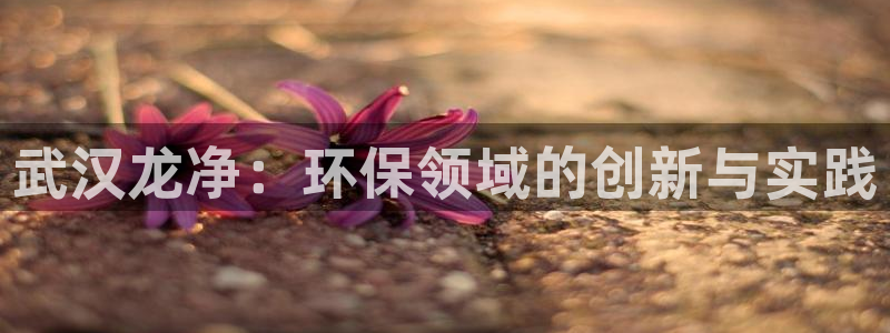 彩名堂拼音怎么拼：武汉龙净：环保领域的创新与实践
