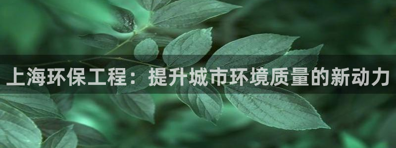 彩名堂一直不出结果怎么回事儿：上海环保工程：提升城市环境质量
