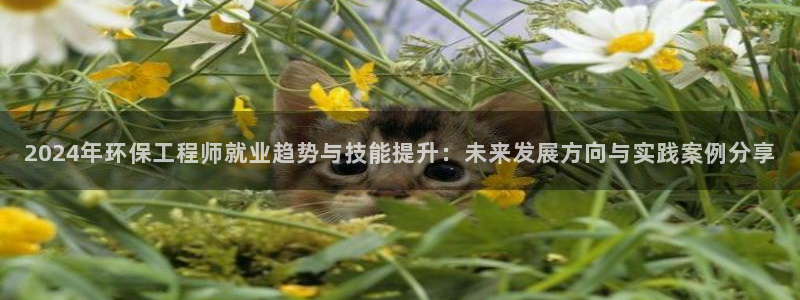 彩名堂怎么跟计划才不连挂：2024年环保工程师就业趋势与技能