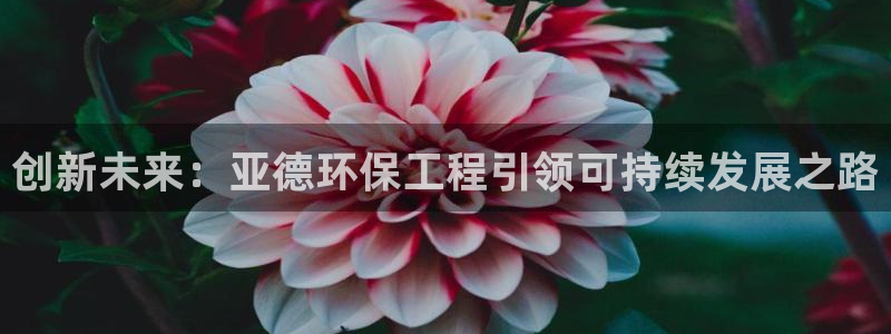 彩名堂计划软件下载：创新未来：亚德环