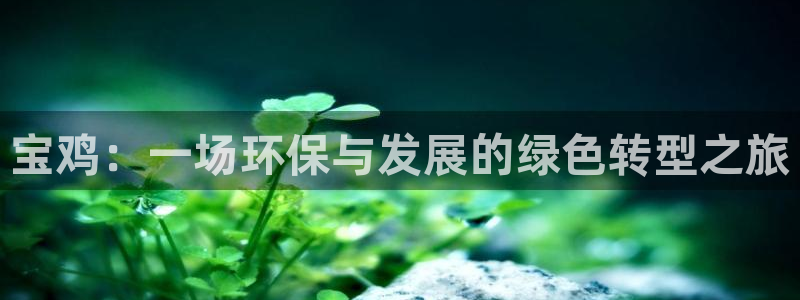 彩名堂合作655560：宝鸡：一场环