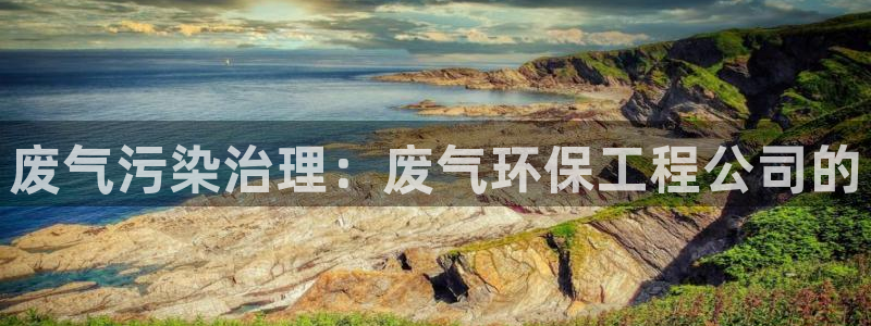 彩名堂怎么不能用了：废气污染治理：废