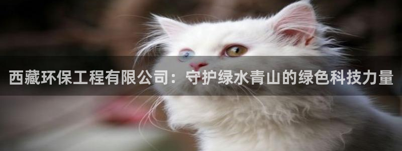 彩名堂计划app安卓免费下载：西藏环