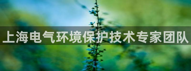 下载彩名堂预测计划软件：上海电气环境