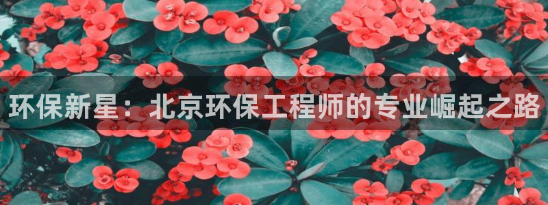 彩名堂App下载：环保新星：北京环保