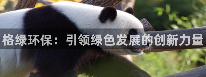 彩名堂最新免费计划官网：格绿环保：引