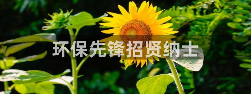 彩名堂全天计划：环保先锋招贤纳士