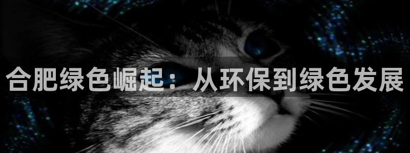 彩名堂官网计划客户端：合肥绿色崛起：