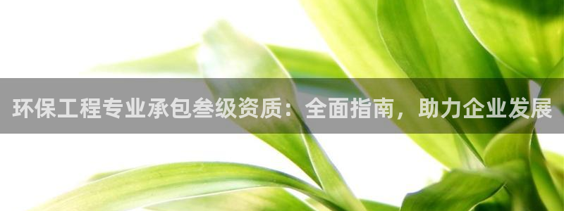 彩名堂预测软件：环保工程专业承包叁级资质：全面指南，助力企业