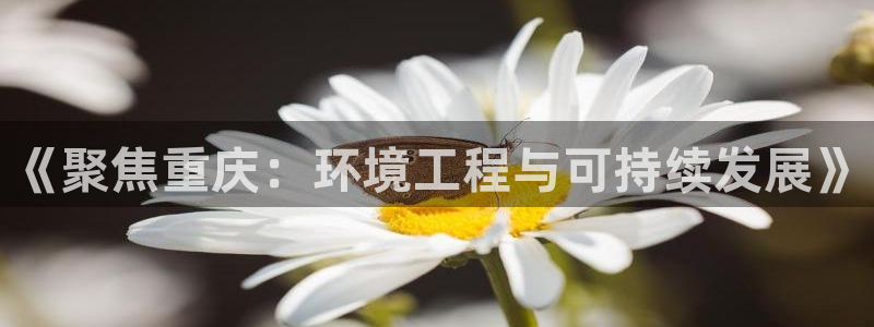 下载彩名堂预测计划软件：《聚焦重庆：
