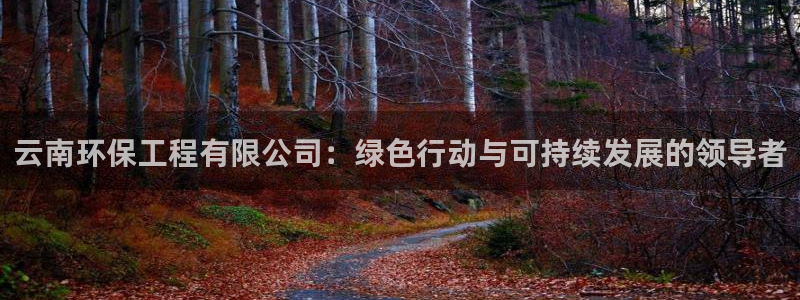彩名堂怎么样：云南环保工程有限公司：绿色行动与可持续发展的领