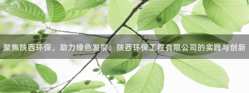 彩名堂计划怎么跟,为什么我一跟就挂：聚焦陕西环保，助力绿色发展：陕西环保工程有限公司的实践与创新