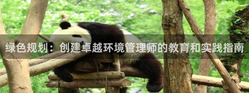 彩名堂4.3：绿色规划：创建卓越环境